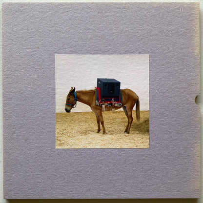 Sambas Do Absurdo (EP)