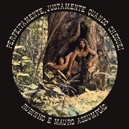 Rubinho E Mauro Assumpção — Perfeitamente, Justamente Quando Cheguei (LP Vinyl Record, used)