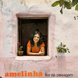 Amelinha — Flor Da Paisagem (LP Vinyl Record, used)