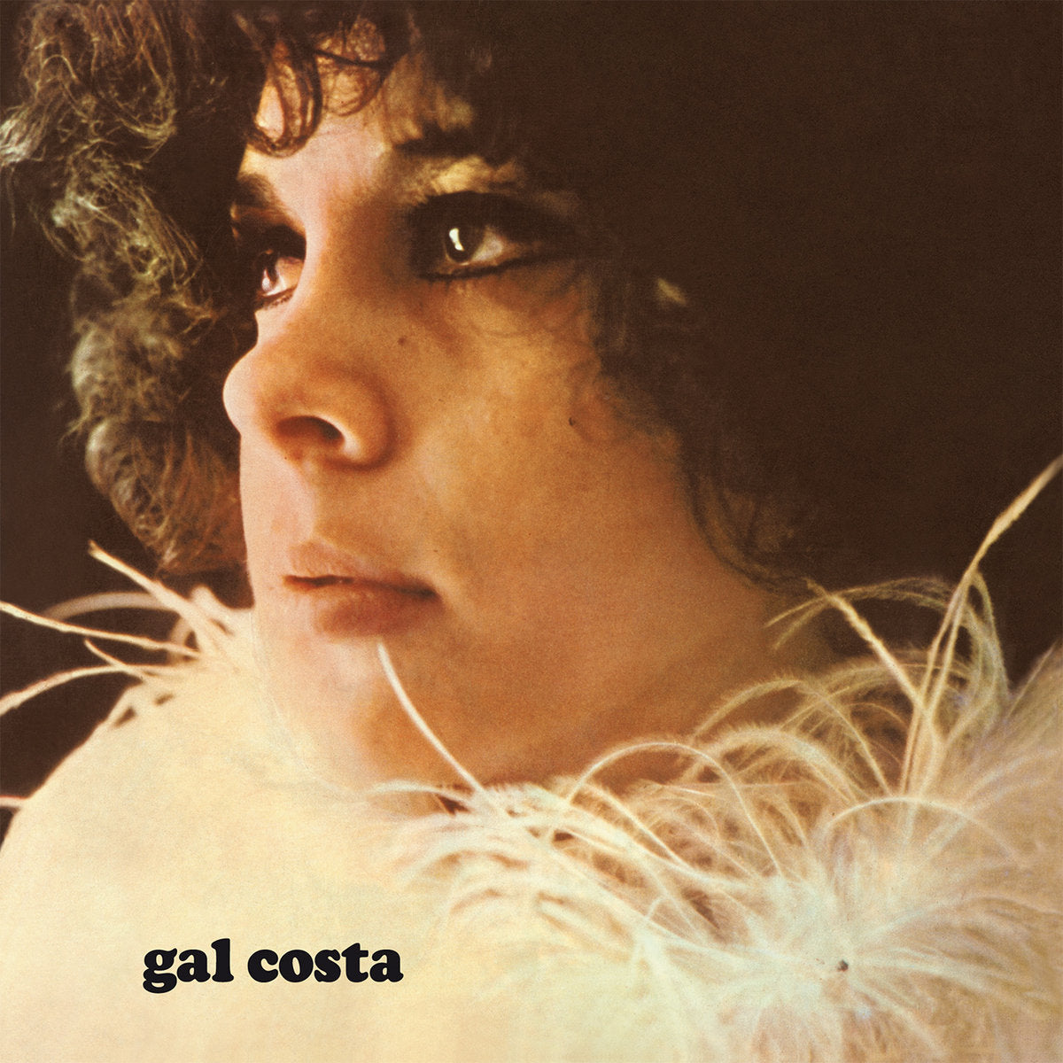Gal Costa - 1969 (LP)