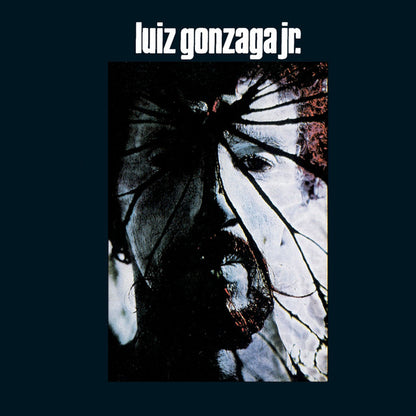 Gonzaguinha — Luiz Gonzaga Jr. (LP Vinyl Record, sealed)