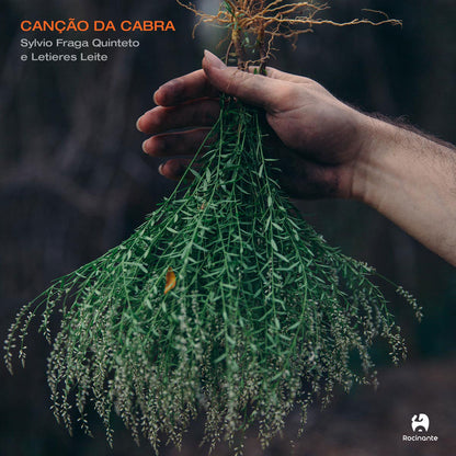 Sylvio Fraga Quinteto e Letieres Leite — Canção Da Cabra  (LP Vinyl Record, sealed)
