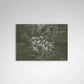 Letieres Leite & Orkestra Rumpilezz — Moacir De Todos Os Santos (LP Vinyl Record, sealed)