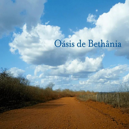 Maria Bethânia - Oásis de Bethânia (LP)